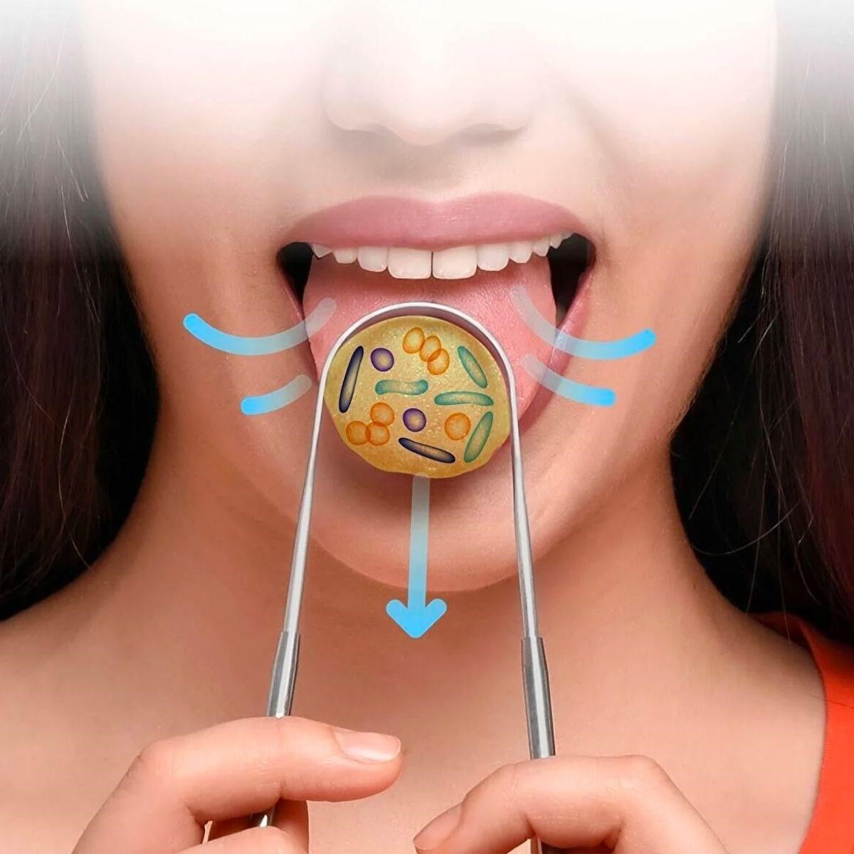 SELFTREND® Dil Temizleme Dil Sıyırıcı Ve Temizleme Aparatı - Görsel 4