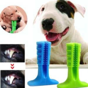 Selftrend® Köpek Diş Temizleyici ve Kaşıyıcı Sağlıklı Küçük Boy Oyuncak