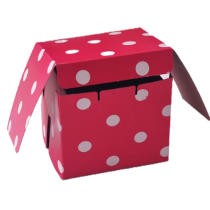 Tekli Pasta Kutusu 50 adet